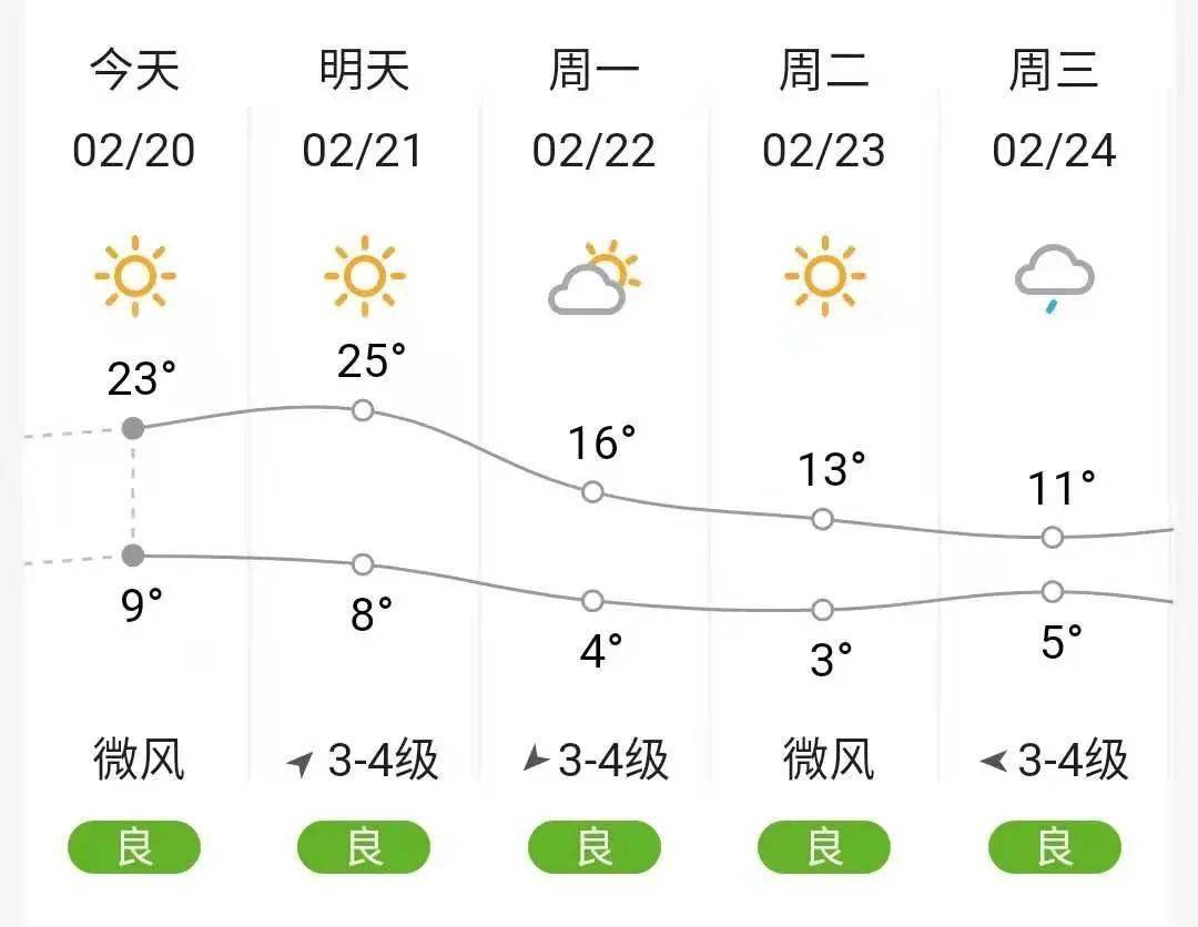 藝術(shù)交流 第53頁