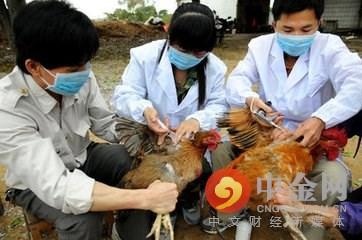 全球關(guān)注H7N9禽流感最新疫情及應對策略