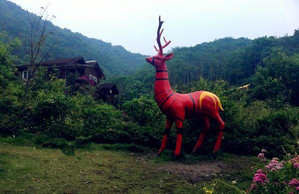 鳥巢展現(xiàn)全新面貌，引領未來建筑潮流的最新動態(tài)報道