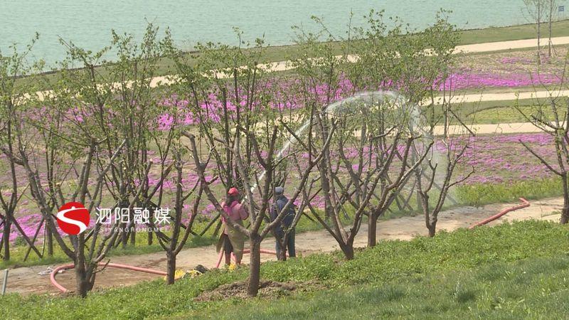 泗陽成子湖最新規(guī)劃，重塑生態(tài)宜居城市新名片