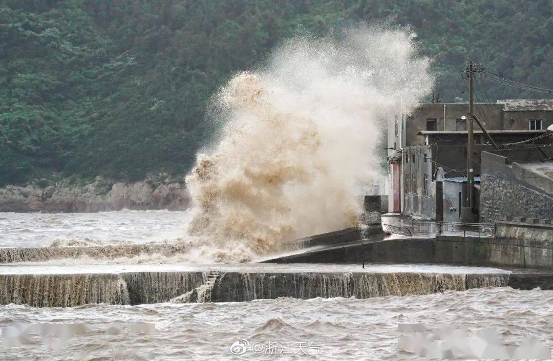 浙江臺(tái)風(fēng)最新動(dòng)態(tài)，影響及應(yīng)對(duì)策略全面解析