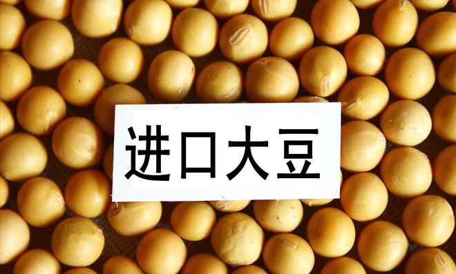 進(jìn)口大豆價(jià)格最新行情深度解析