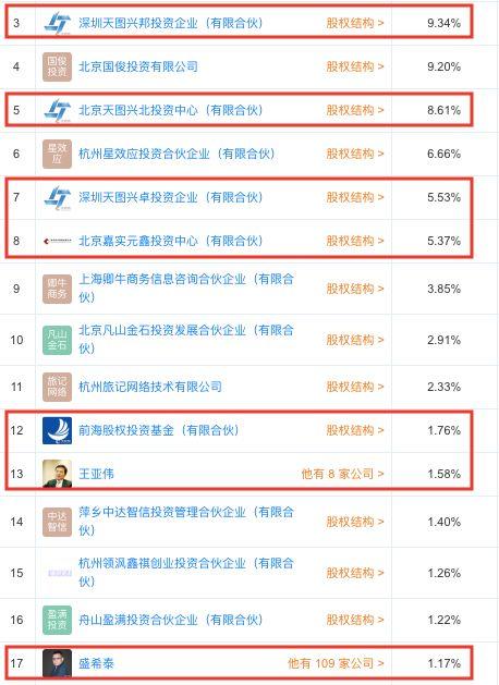 王亞偉最新持股明細(xì)揭秘，深度解讀其投資策略與動(dòng)向